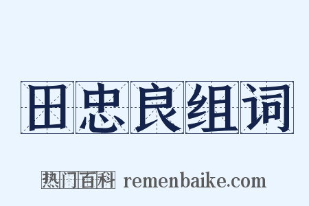 田忠良组词是什么意思的图片